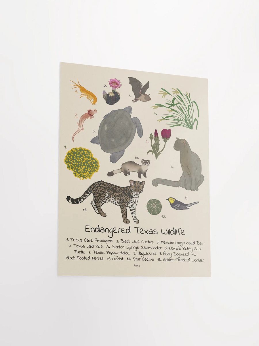 Endangered Texas Wildlife Print product image (8)