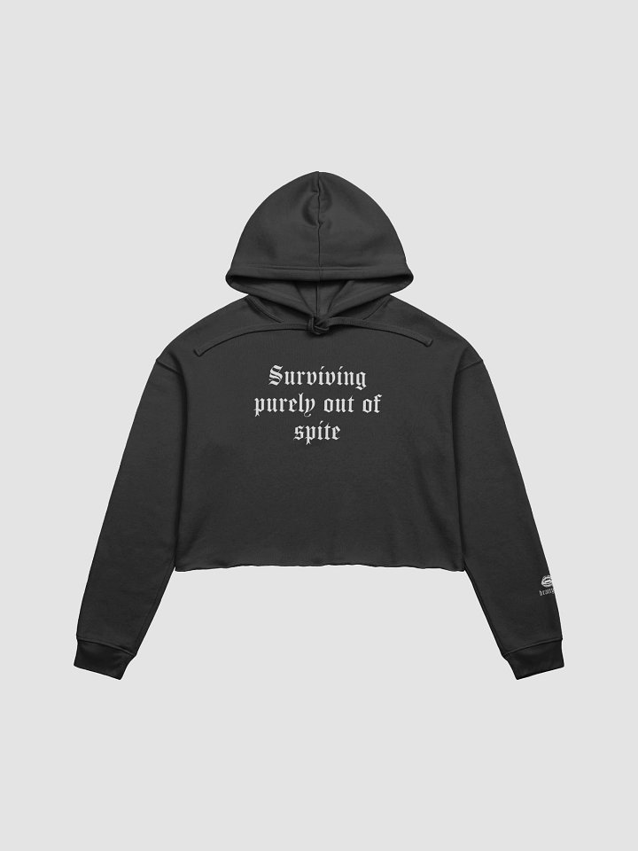 Surviving cropped hoodie product image (3)