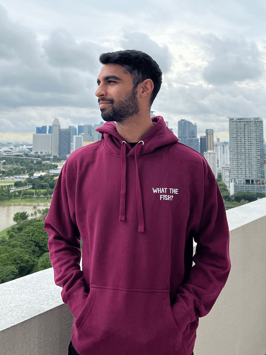 What The Fish Hoodie product image (1)
