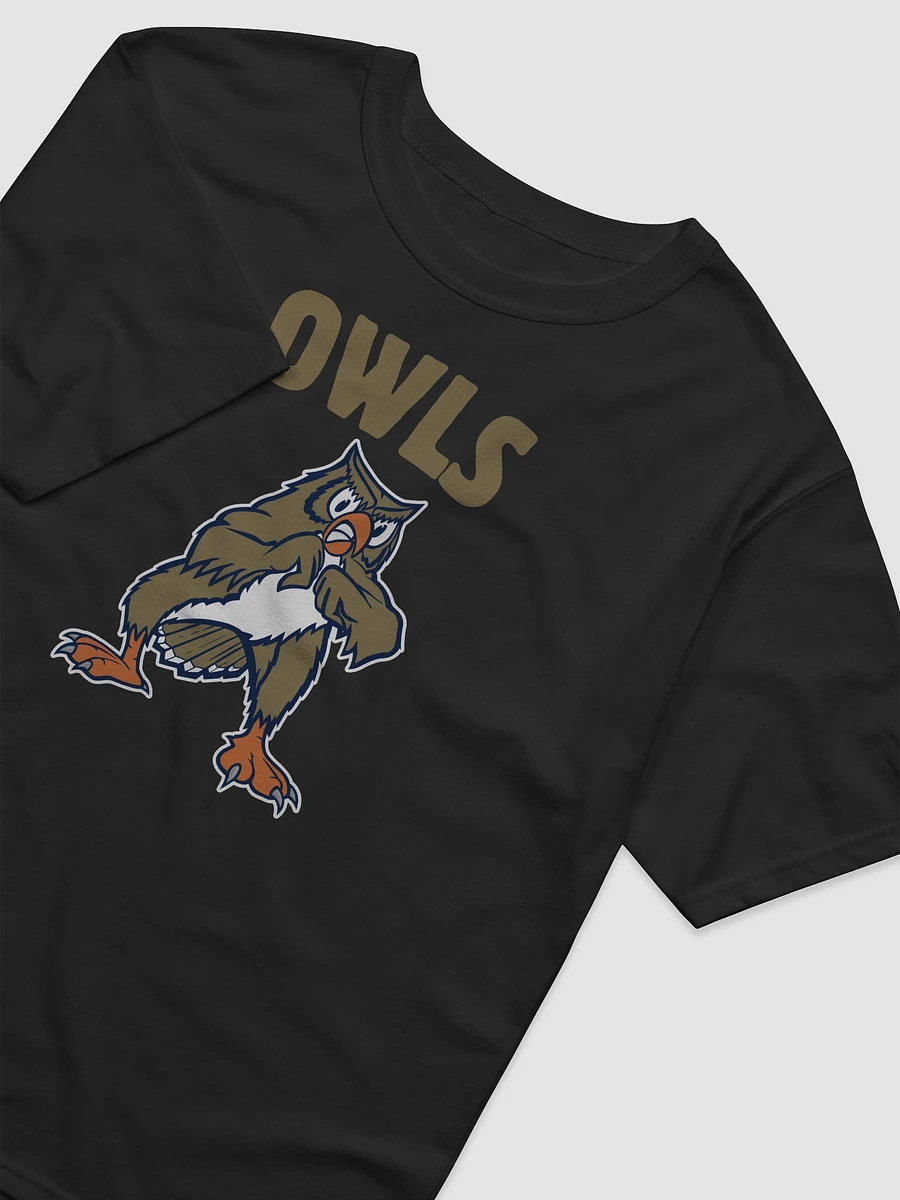 Oklahoma City Owls Champion Tee product image (15)