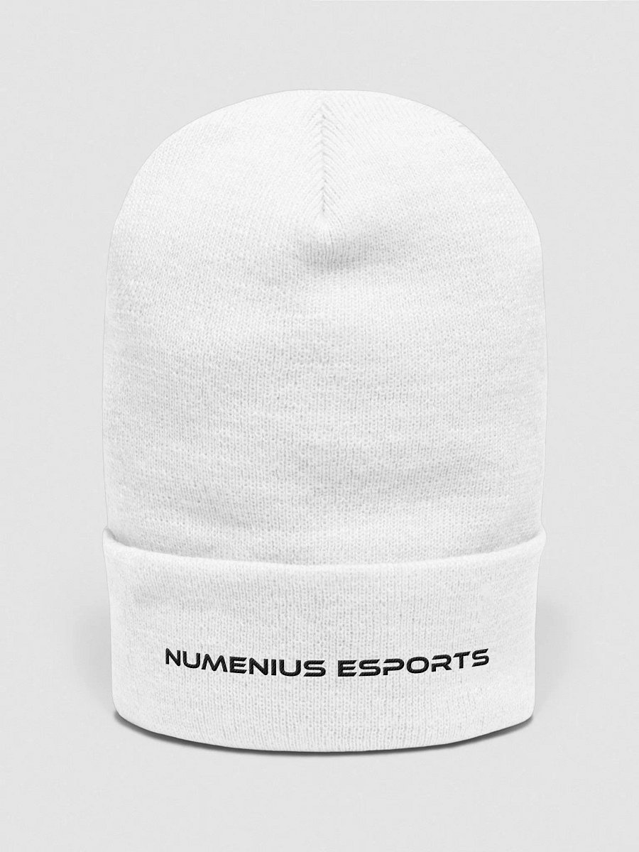 Numenius Esports Beanie - White product image (1)