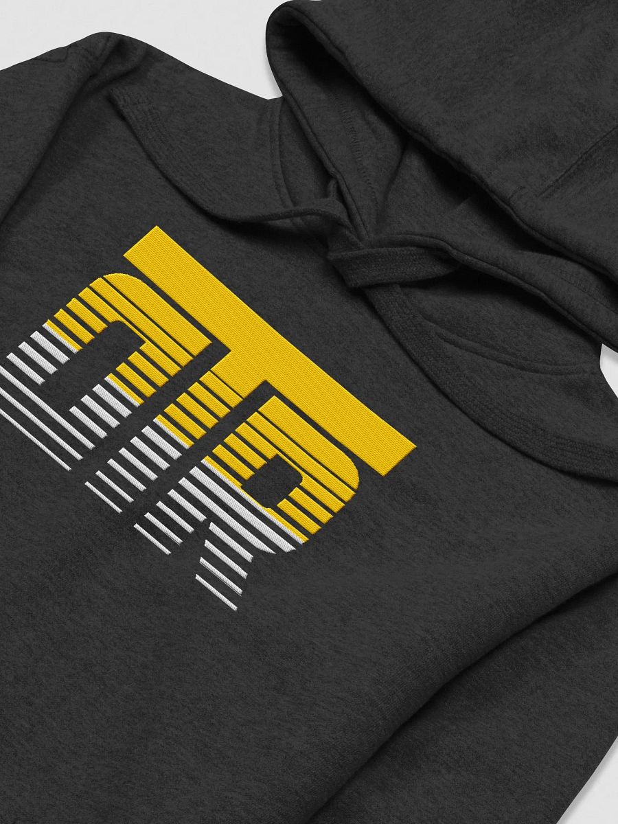 DTR Embroidered Hoodie product image (10)
