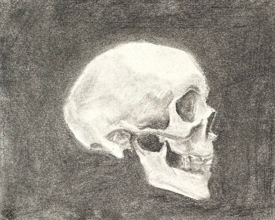 Profile product image (1)