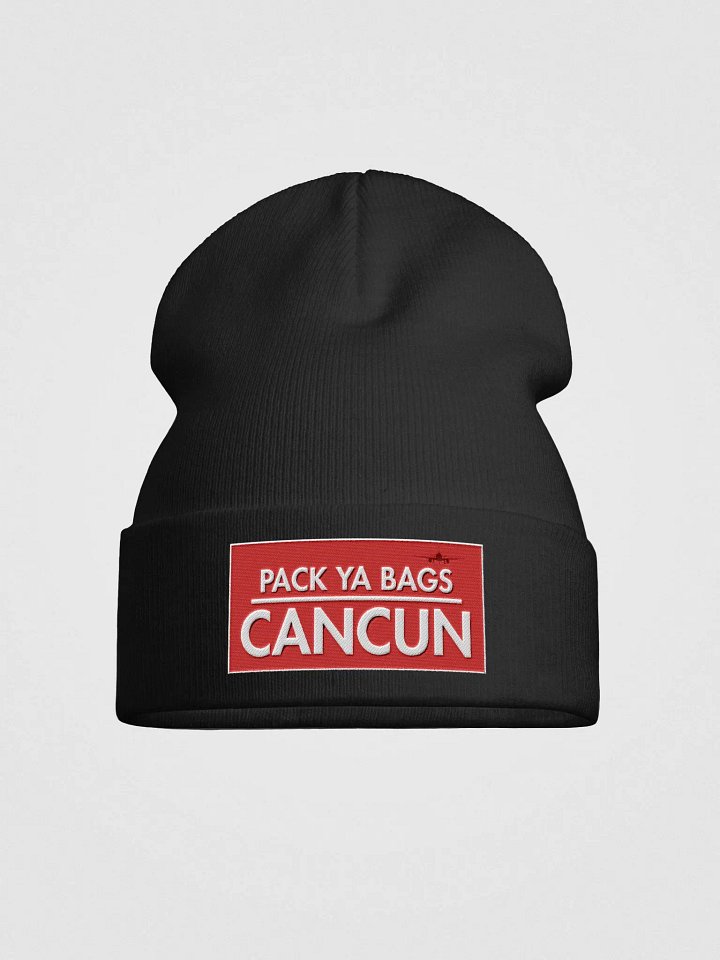 Copy of Otto Knit Beanie - PACK YA BAGS product image (1)