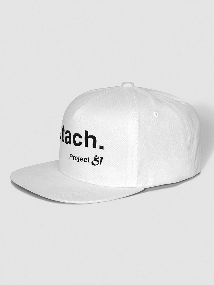 detach. snapback product image (2)