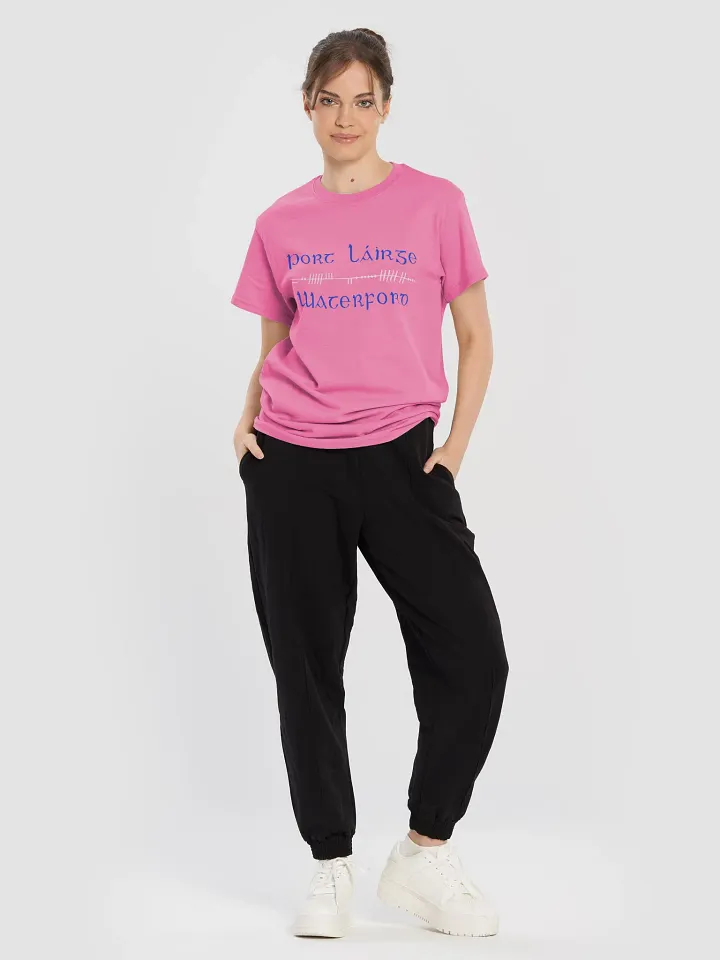 Waterford/Port Láirge Scholastic style Ogham Printed T-shirt product image (2)