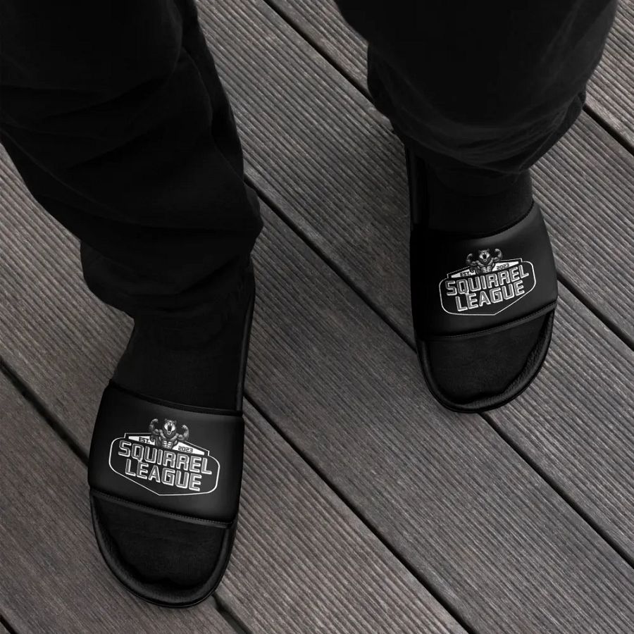 Squirrel League Slides product image (7)