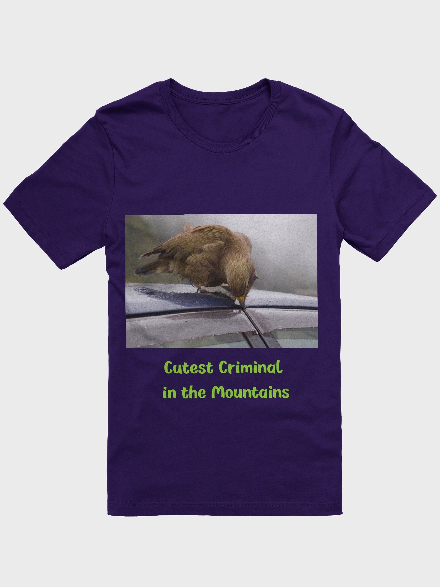 The Mischievous Parrot product image (1)