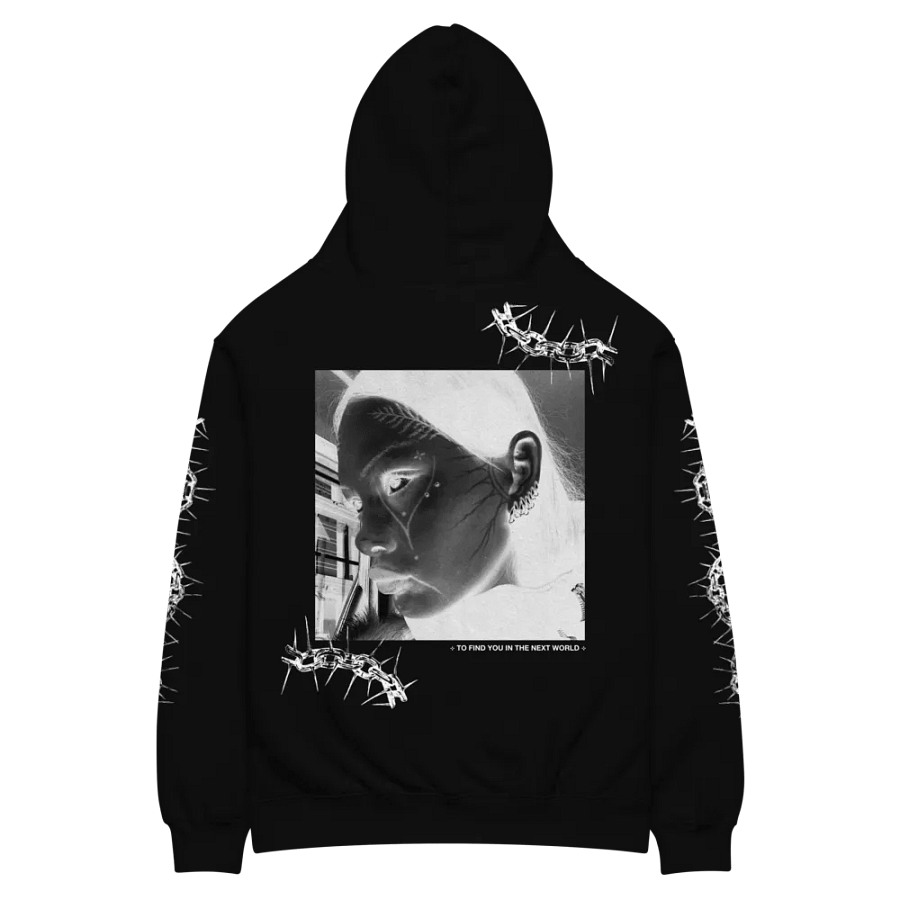 ⊹ TO FIND YOU IN THE NEXT WORLD ⊹ - HOODIE product image (2)