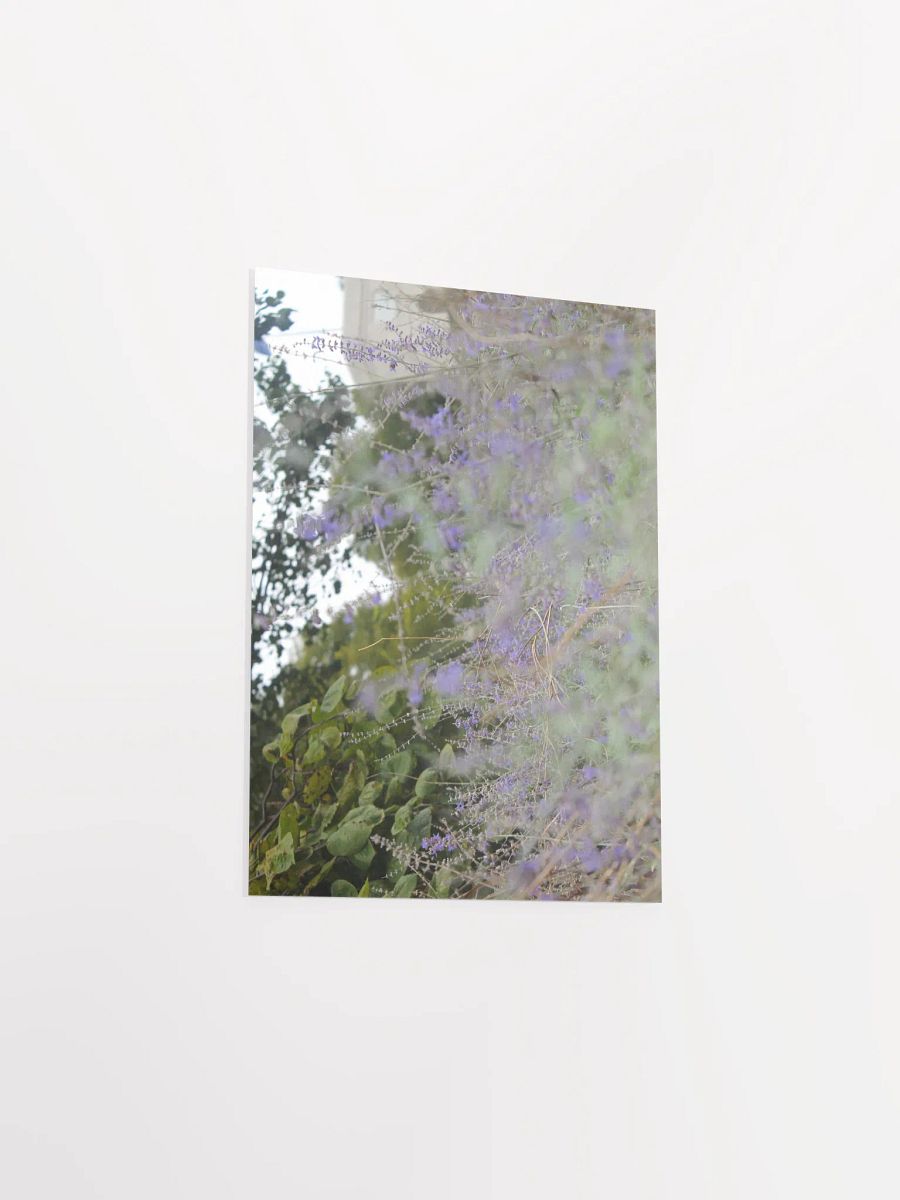 A Study in Flowers 16 product image (25)