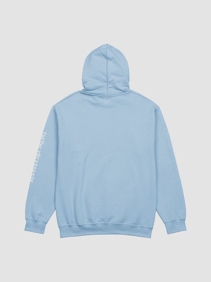 Bearshark & Friends Hoodie product image (2)
