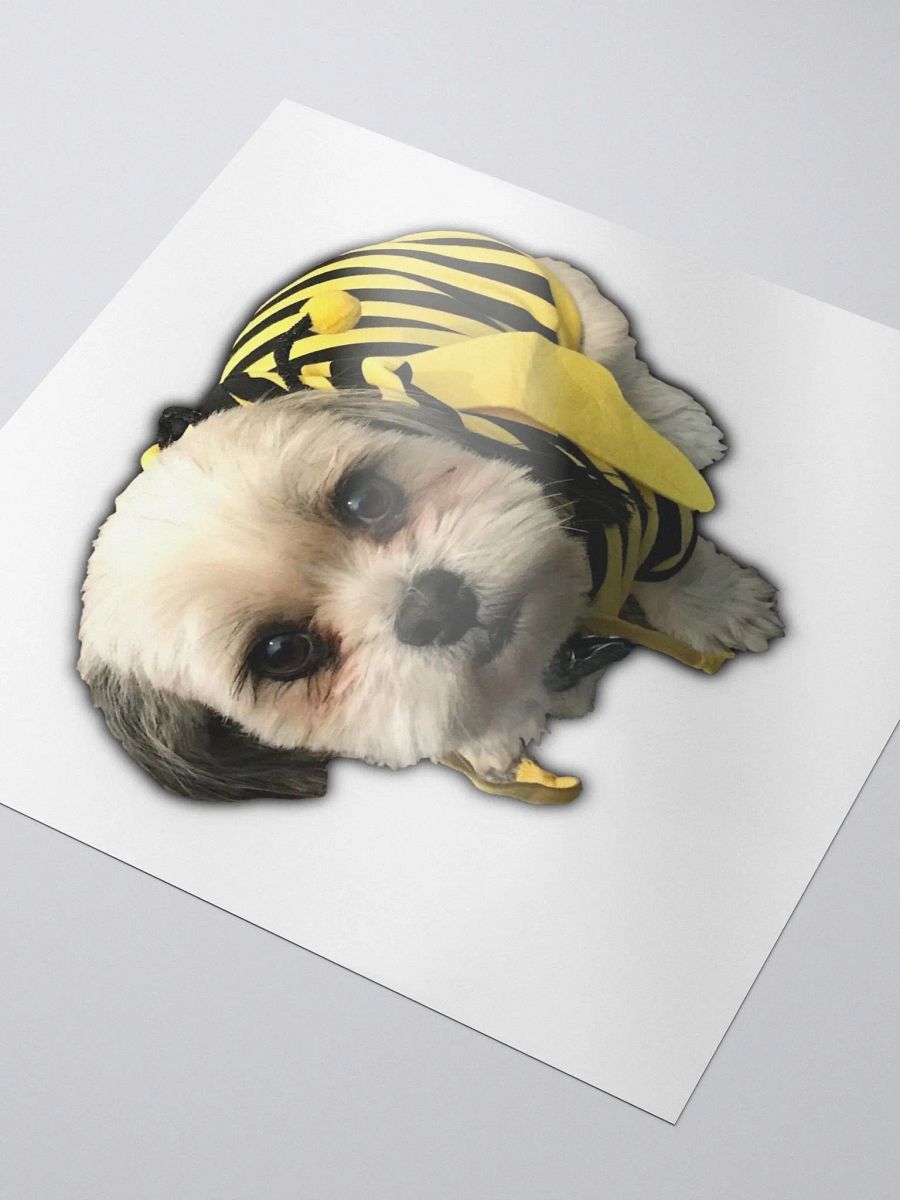 BeeBug product image (3)