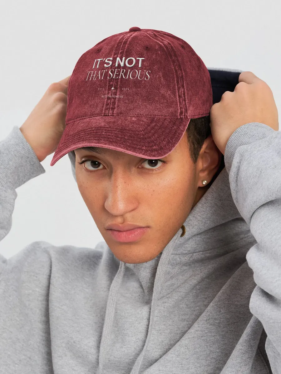 It's Not That Serious Dad Cap product image (18)