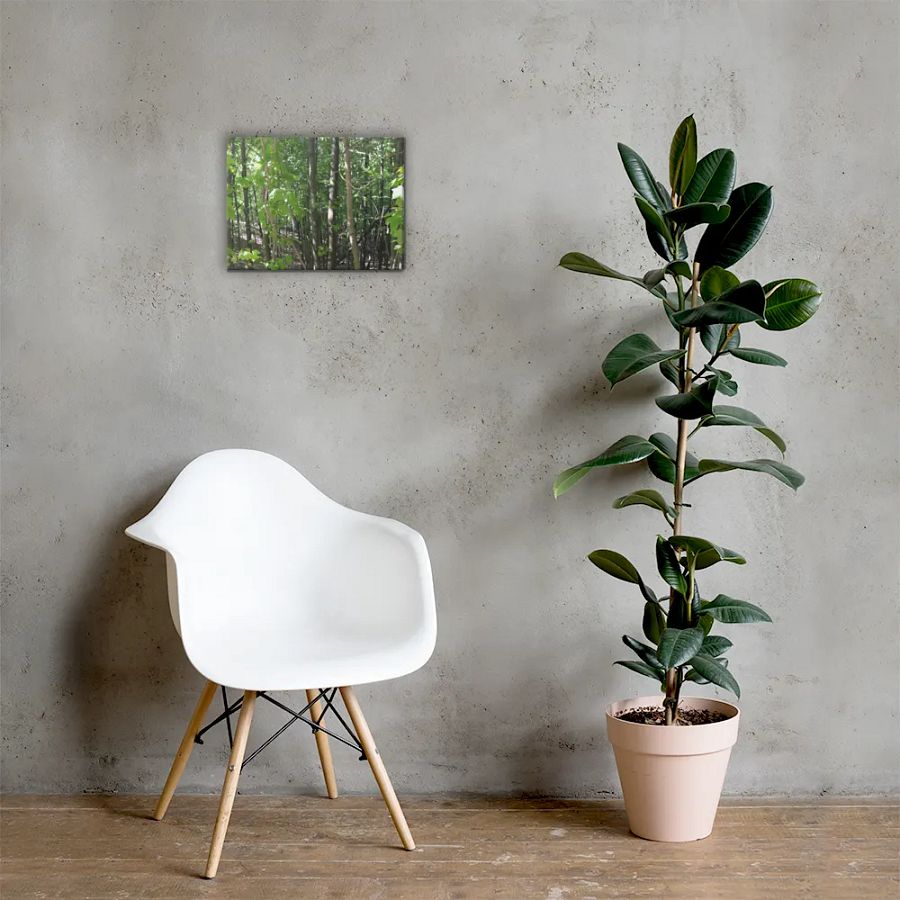 Empire Bluff Forest Canvas product image (5)