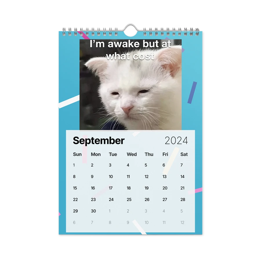 Wall Calendar (2024): Meme Cats product image (18)