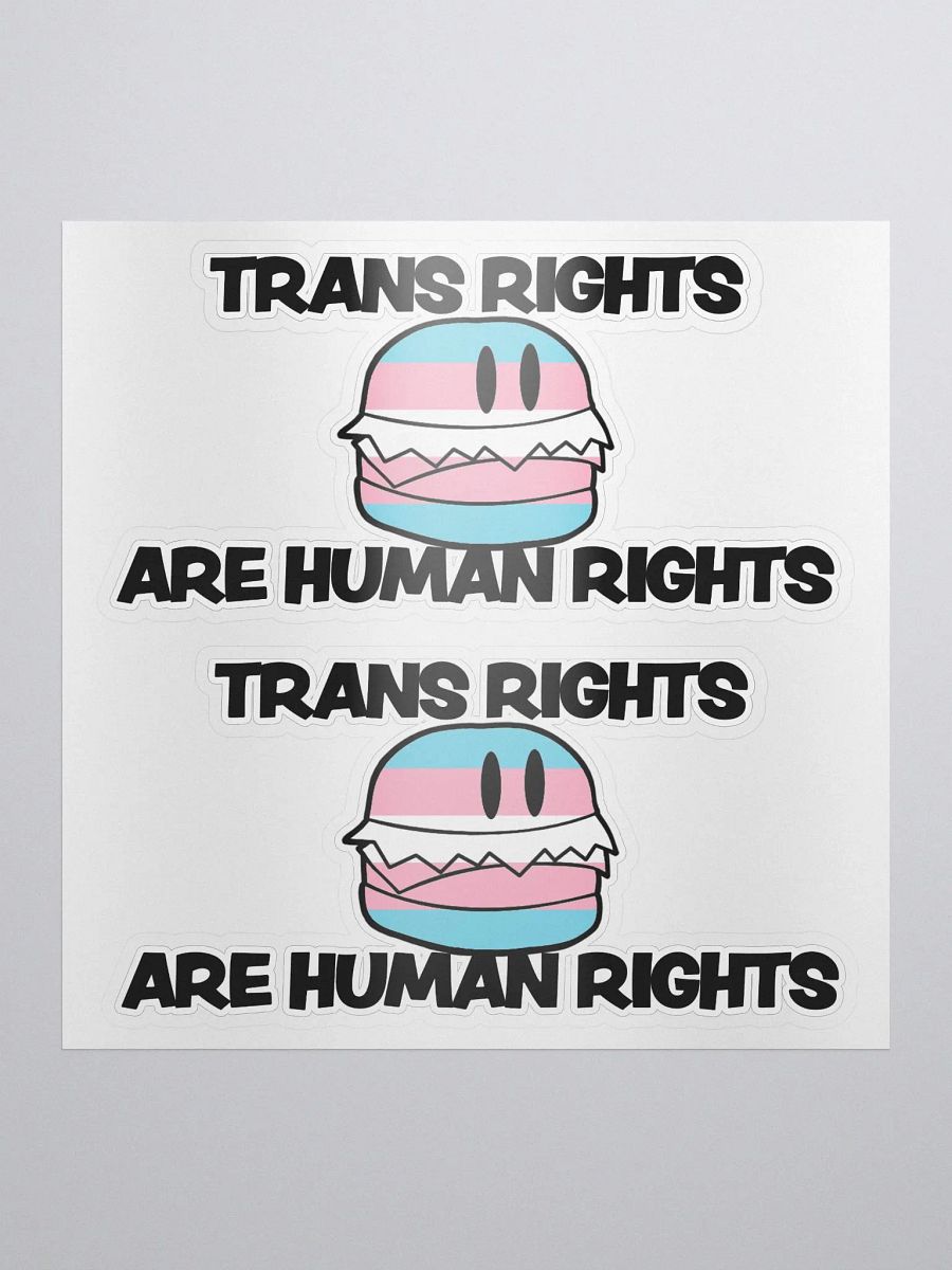 Trans Rights Stickers (2-pack) product image (1)