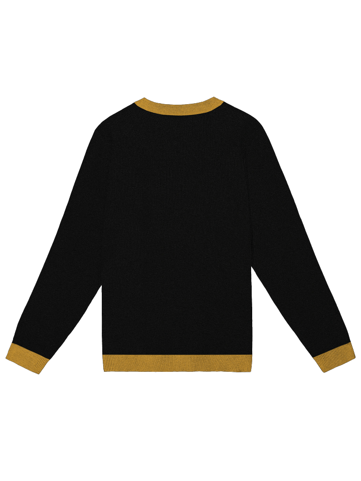 115th Vangaurd Legion Faction sweater unisex product image (6)