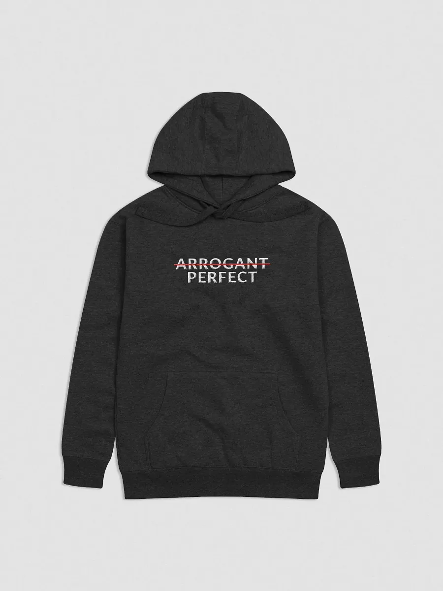 ARROGANT PERFECT - HOODIE product image (2)