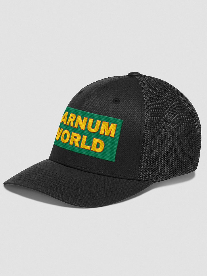 Barnum World FLEX Flexfit Mash Back Trucker Hat product image (2)