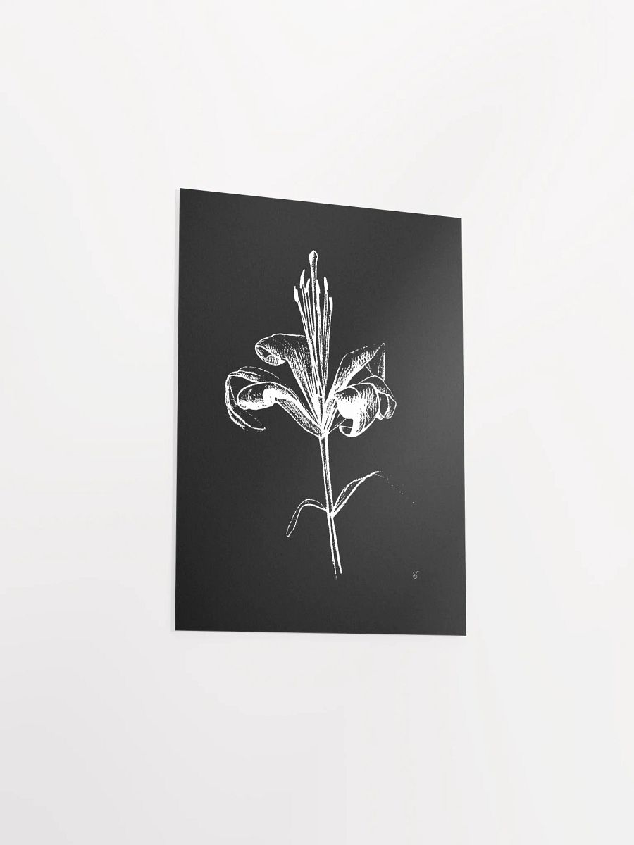 Ethereal Lily Sketch Poster - Fine Flower Dark product image (3)