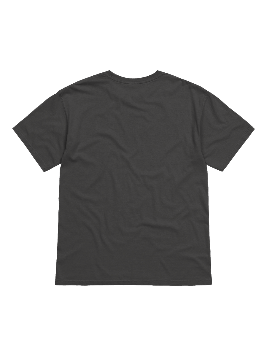 Awakening Transcendence T-Shirt product image (3)