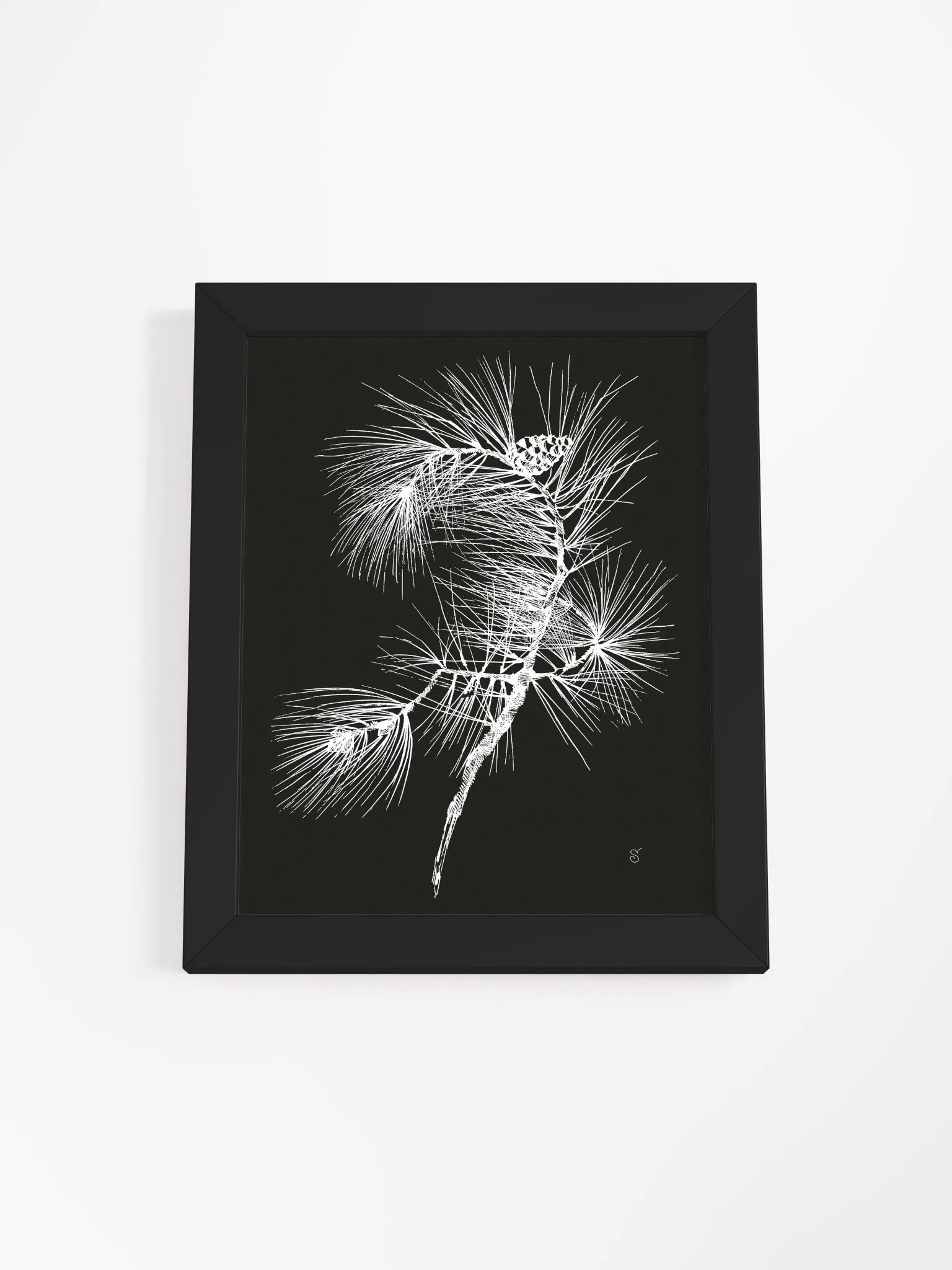 Botanical Elegance: Pine Branch Poster - Pine Branch Dark product image (7)