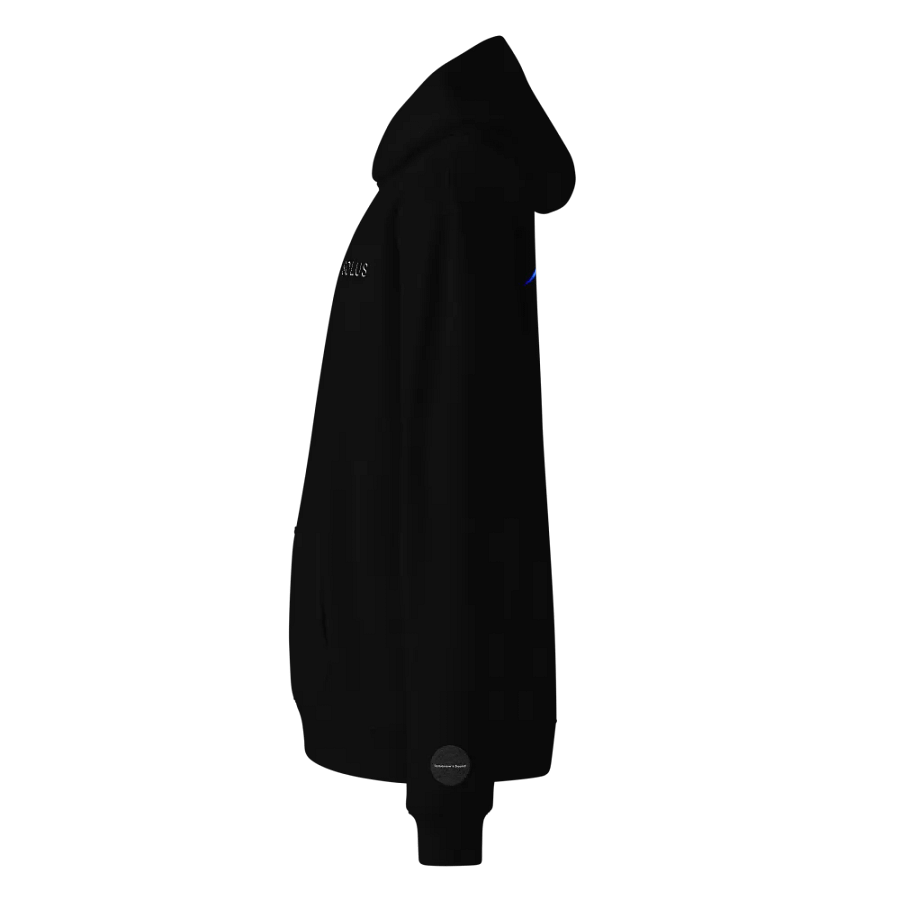 SOLUS EDITION - Embroidered Hoodie product image (3)