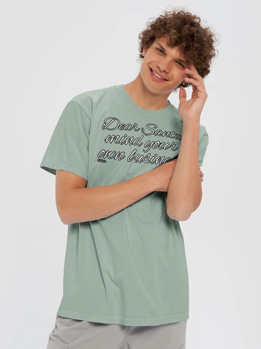 DEAR SANTA, MIND YOUR OWN BUSINESS product image (61)