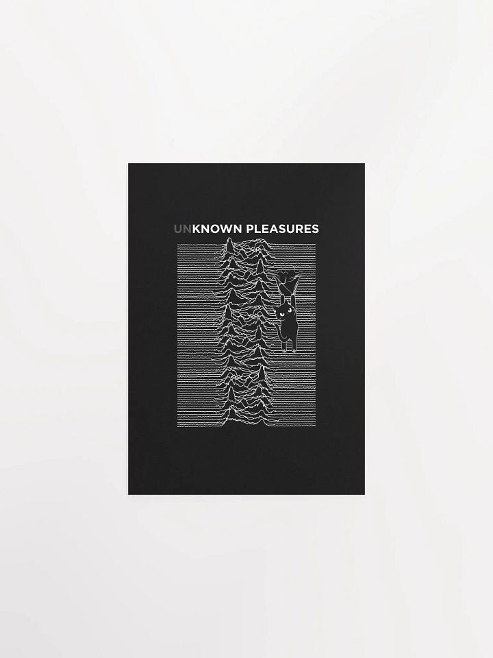 KITTEN'S UNKNOWN PLEASURES product image (1)