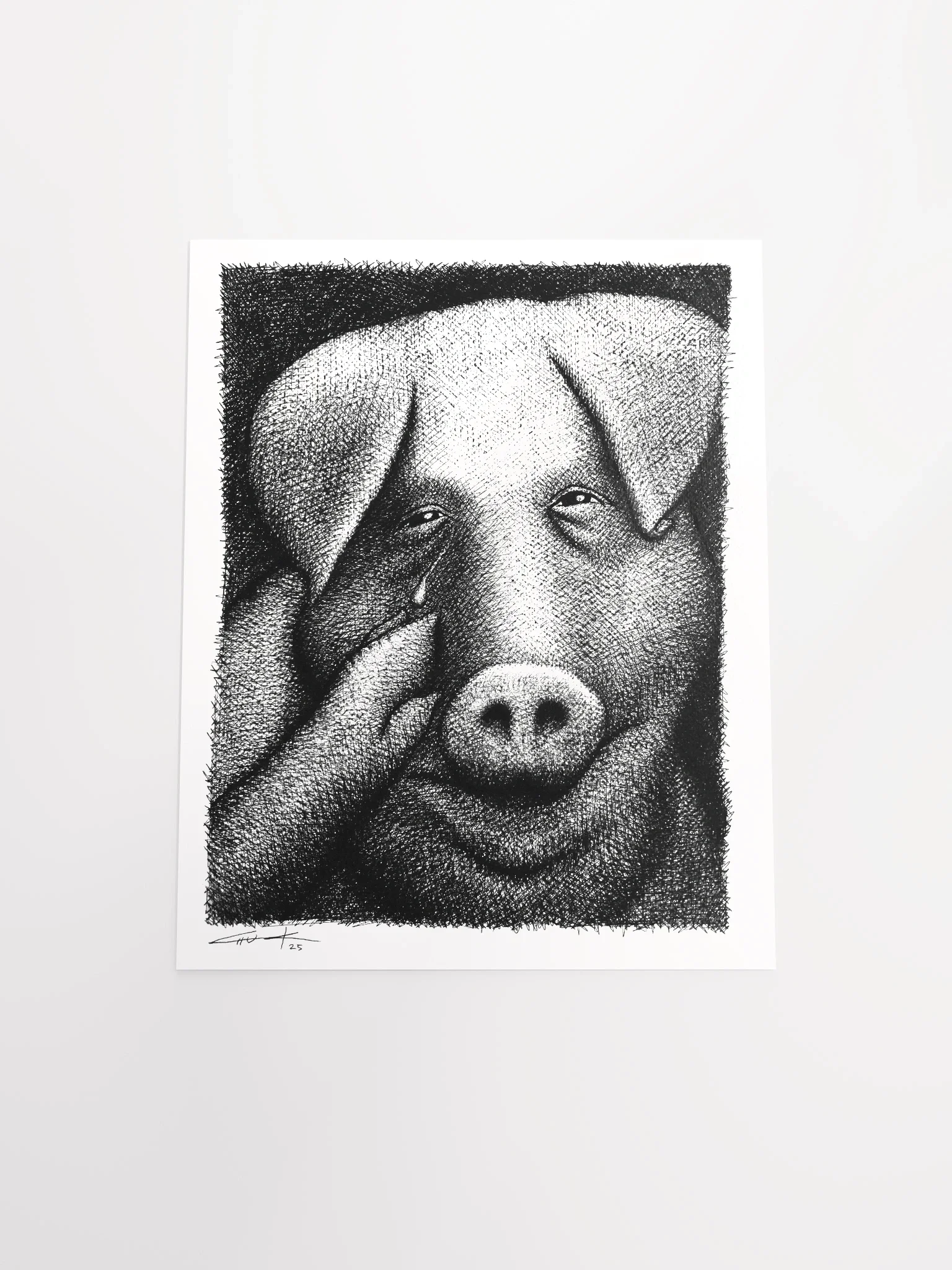 Sad Pig product image (4)