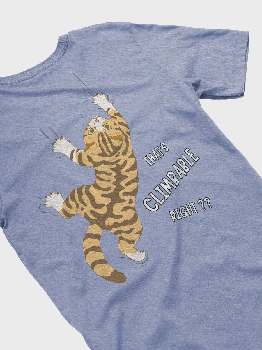 That's Climbable Right? - Climbing T-Shirt product image (39)