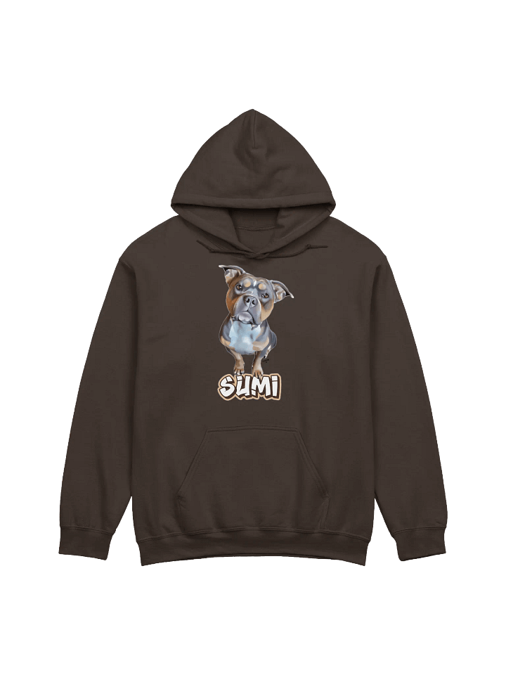 Sumi Banner | Hoodie product image (1)