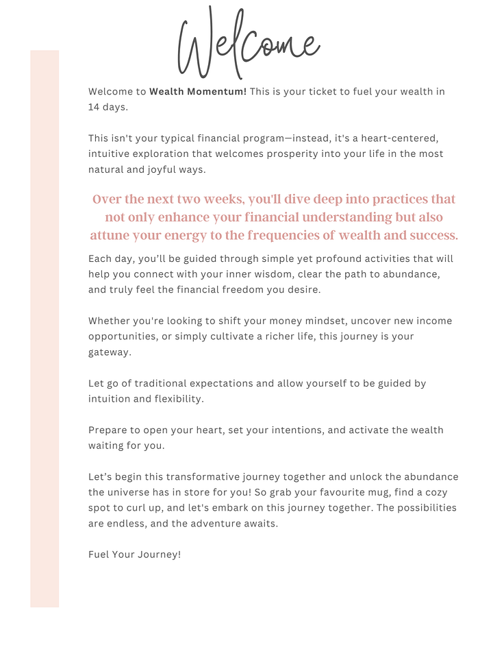 Wealth Momentum: Abundance Journey product image (2)