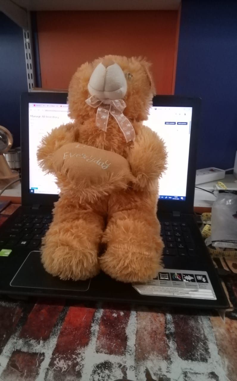 TEDDY BEAR product image (4)