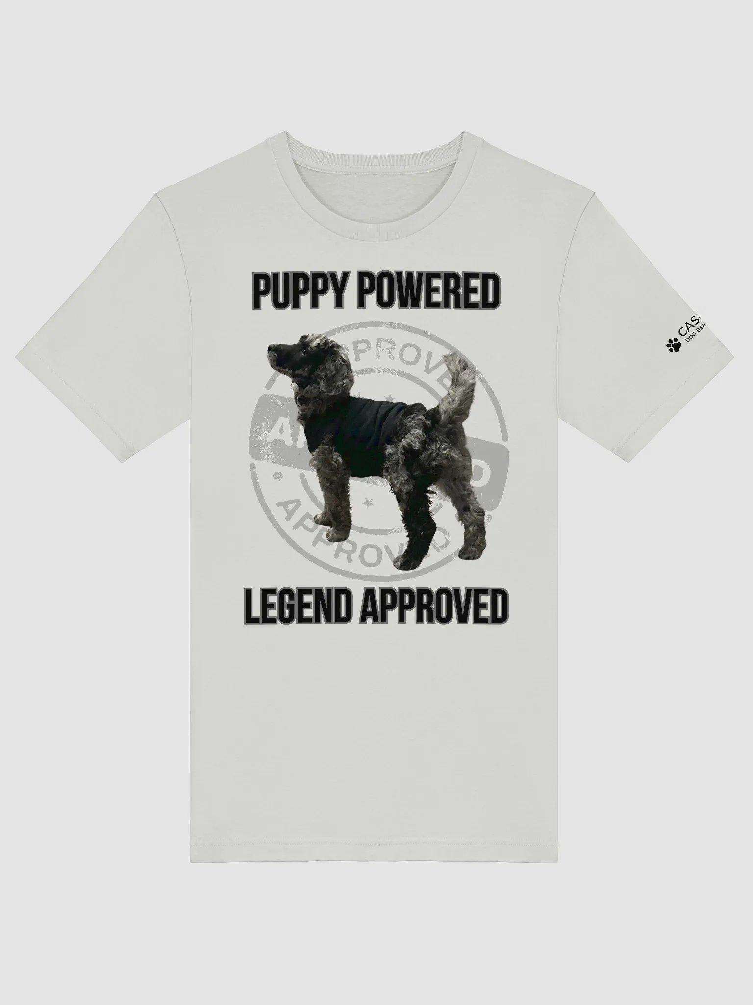 LEGEND APPROVED T-Shirt product image (2)