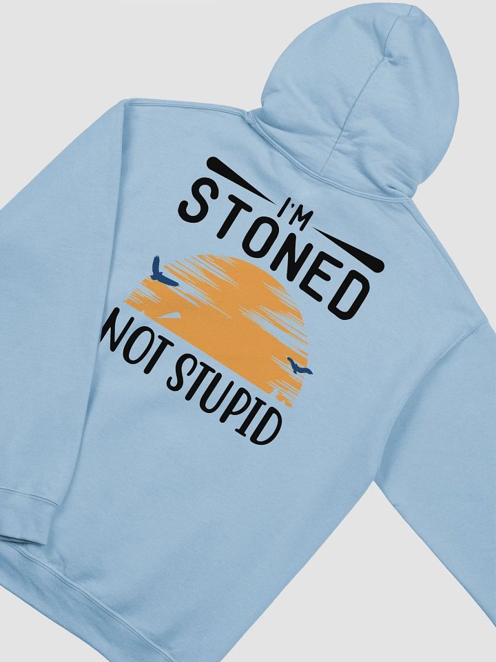 Sunset Im Stoned, Not Stupid Hoodie front and back product image (2)