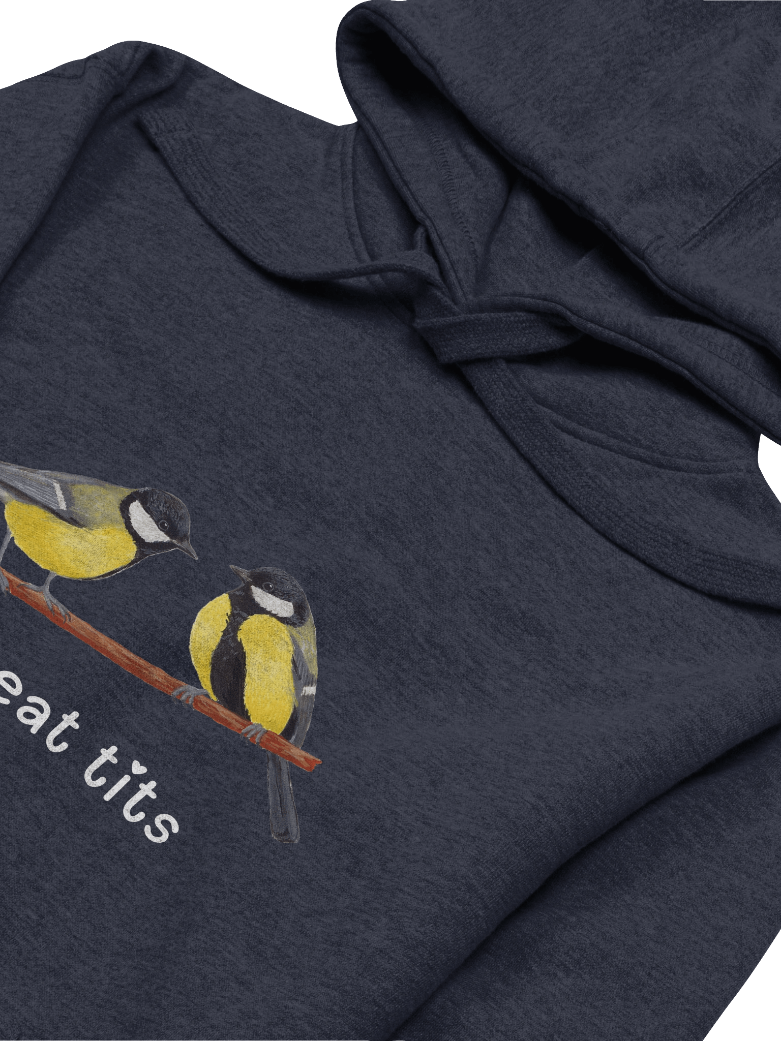 great tits hoodie product image (2)