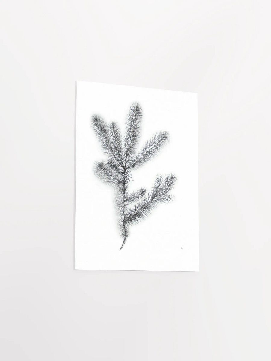 Whimsical Coniferous Branch Poster - Spruce Branch product image (3)