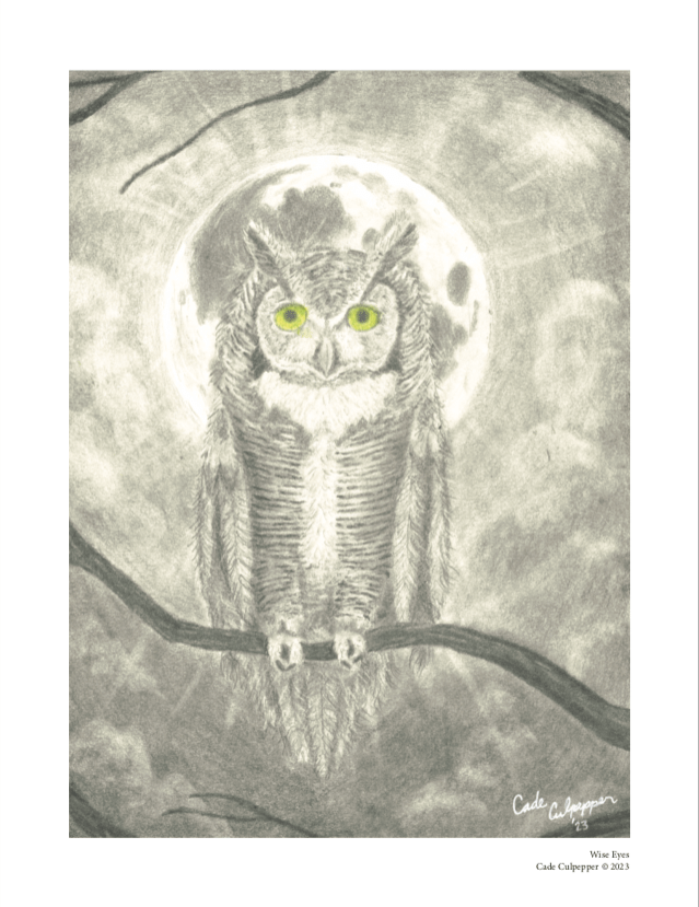 “Wise Eyes” Print product image (1)