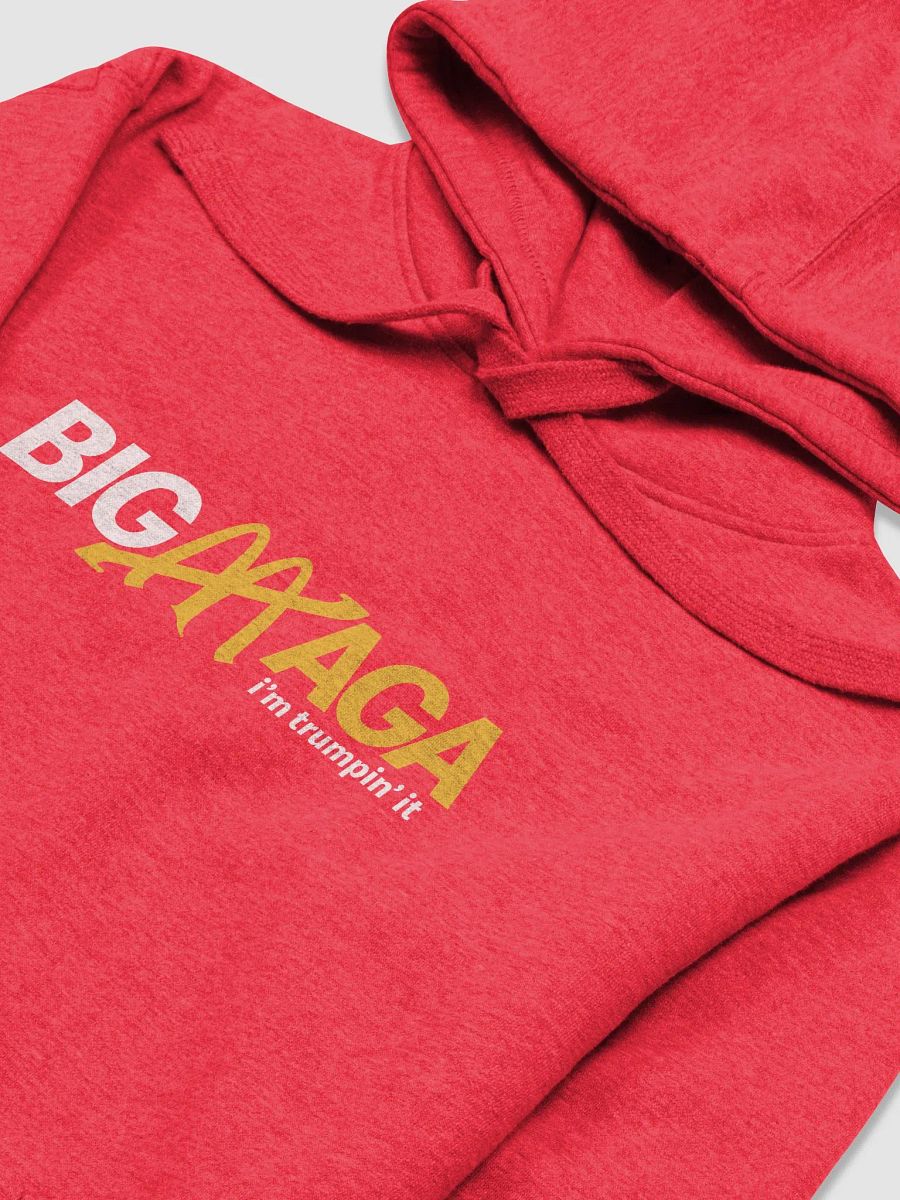 Big MAGA (Hoodie) x TMR product image (3)