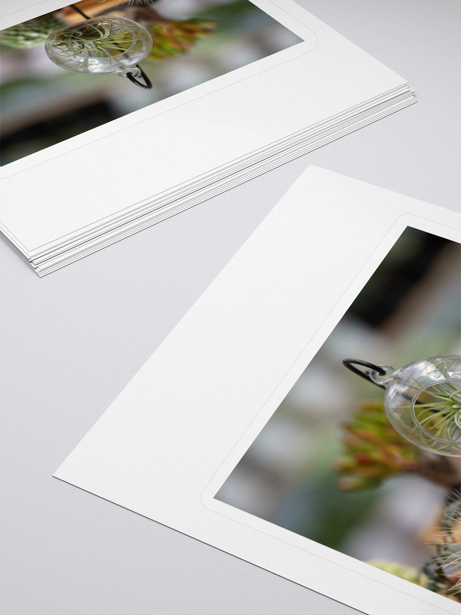 Suspended Air Plant Terrarium Sticker Set product image (4)