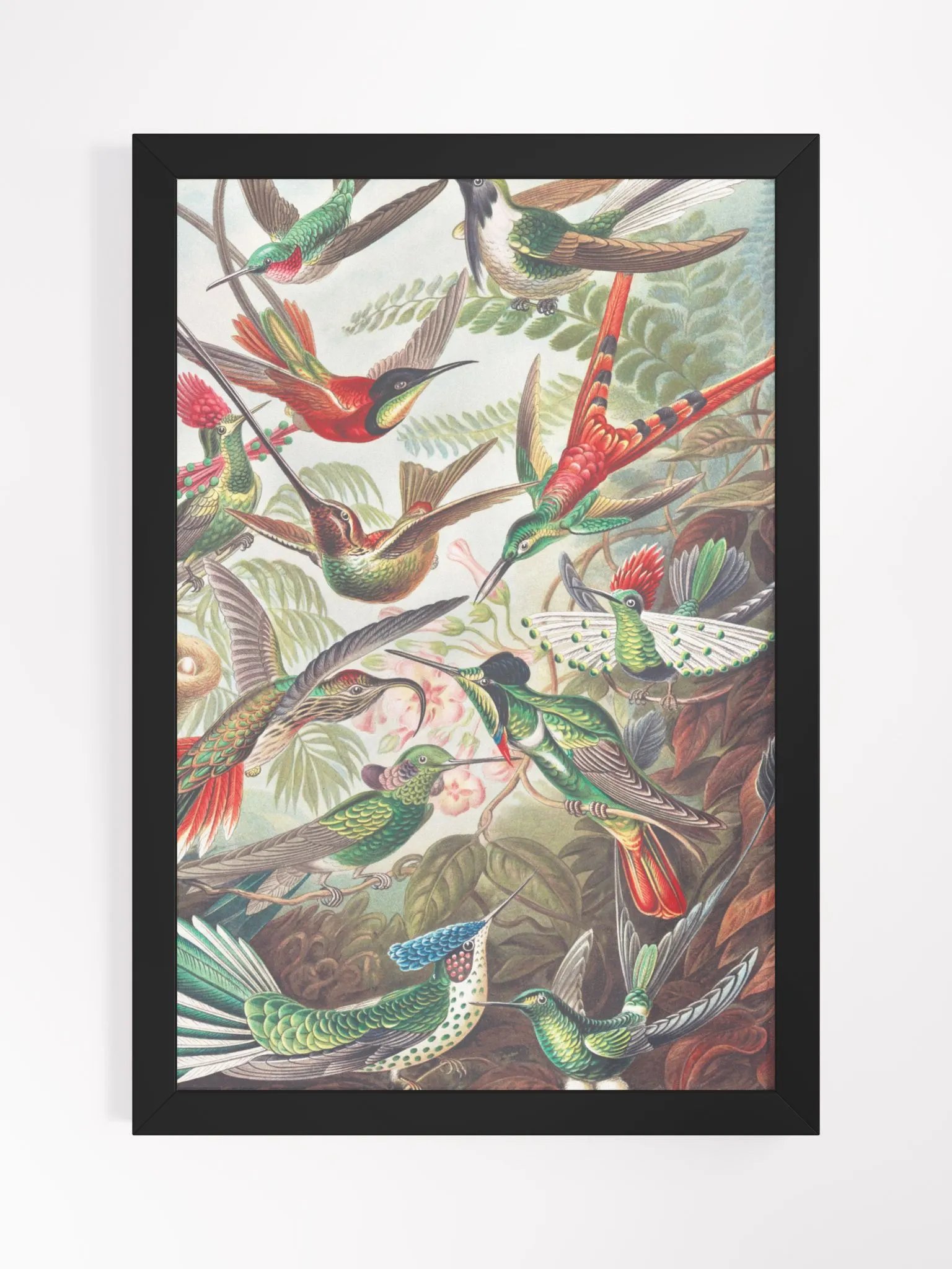 Birds Everywhere product image (2)