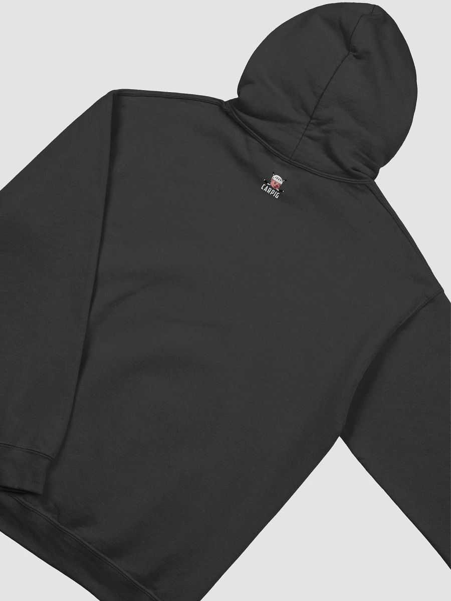 Michigan Alumni Hoodie COLLEGE EDITION (Black & White) product image (8)