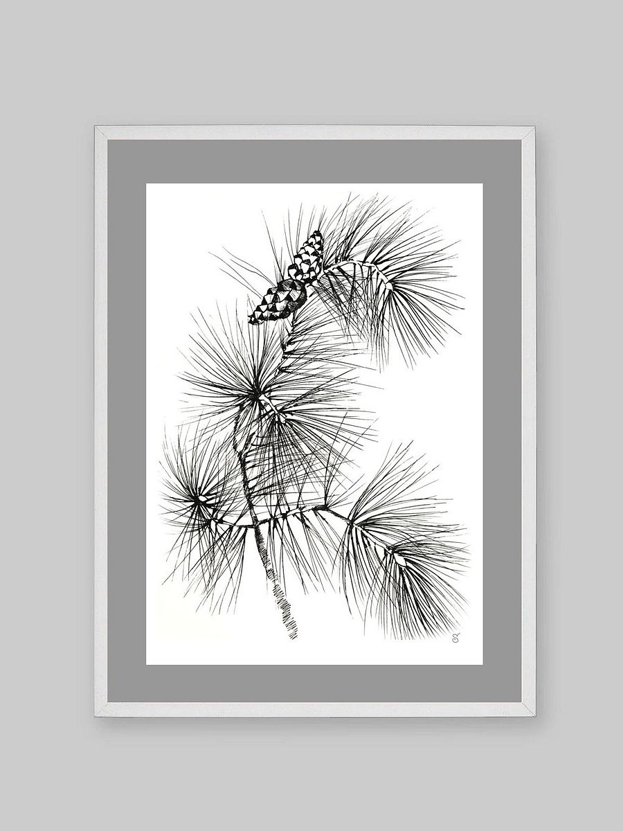 Pine Branch Serenity Poster - Pine Branch and Cones product image (19)