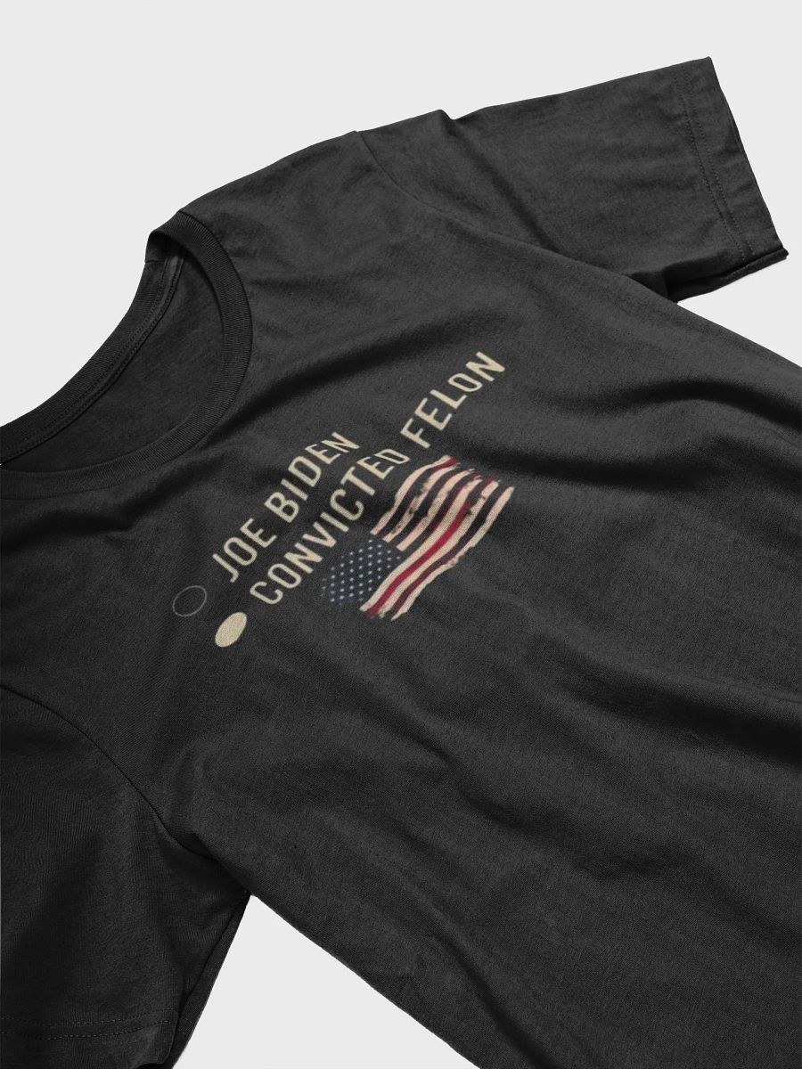 Joe Biden Felon product image (3)