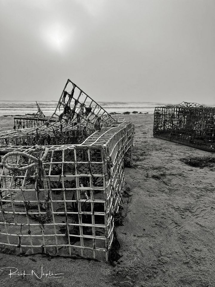 BLACK AND WHITE PHOTOGRAPHY product image (2)