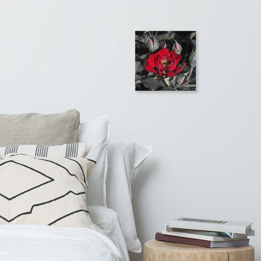 Rose on Canvas product image (6)