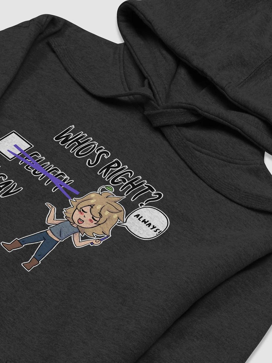 #SAVISRIGHT Hoodie product image (3)
