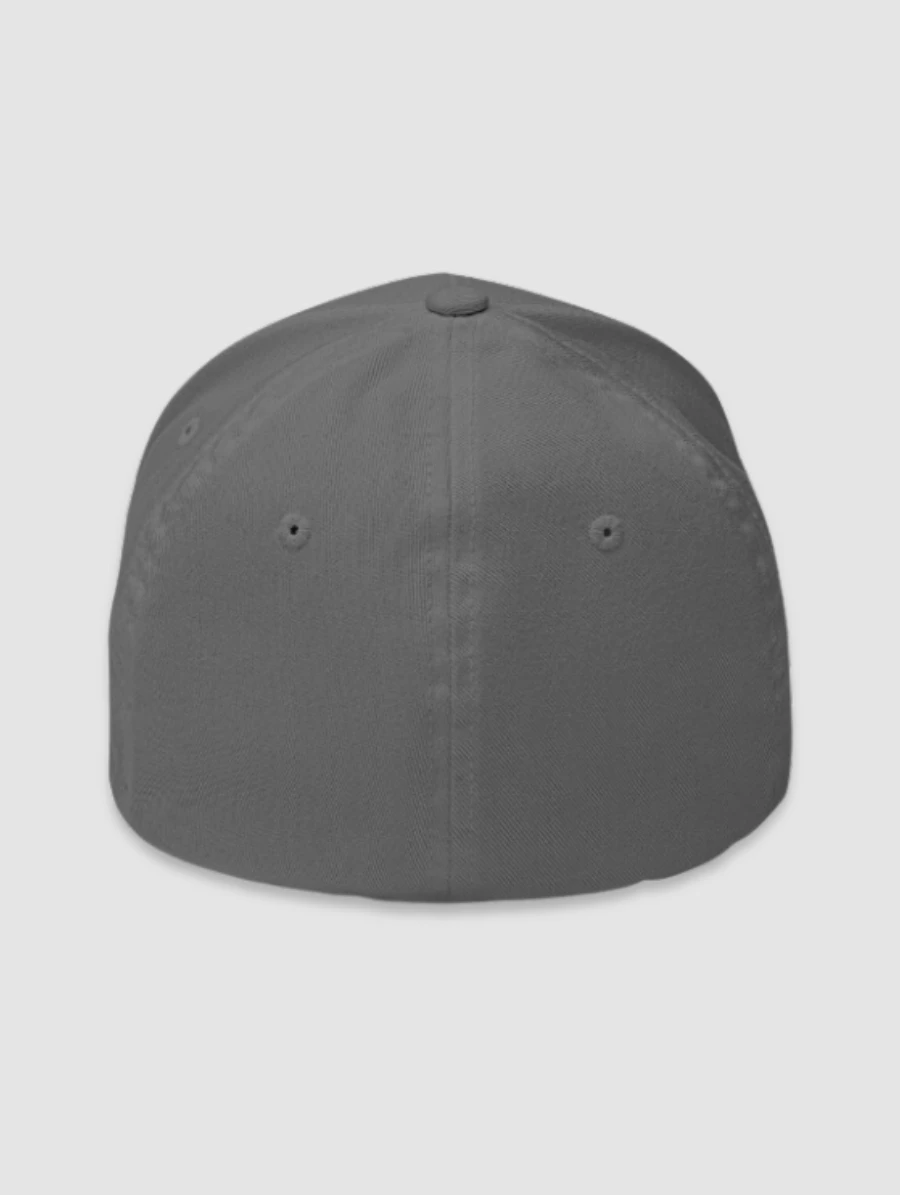 SS'23 Fitted Cap - Gray product image (2)