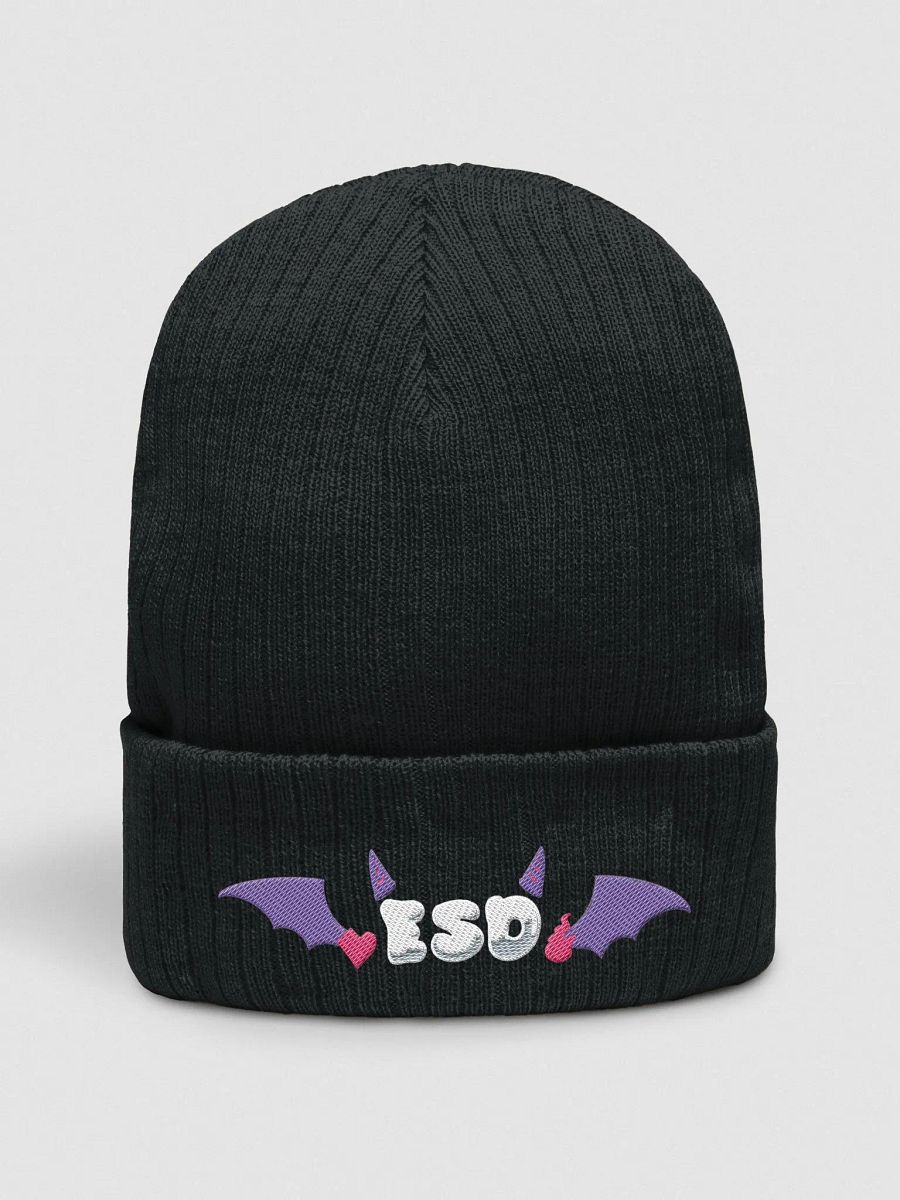 ESD winged beanie product image (1)